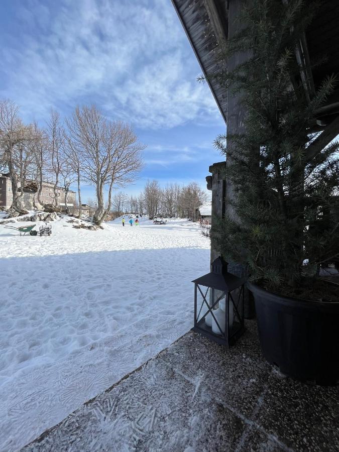 בוהין Chalet Burja At Vogel Mountain - Cable Car Access Or Hiking - Not Reachable With Car מראה חיצוני תמונה