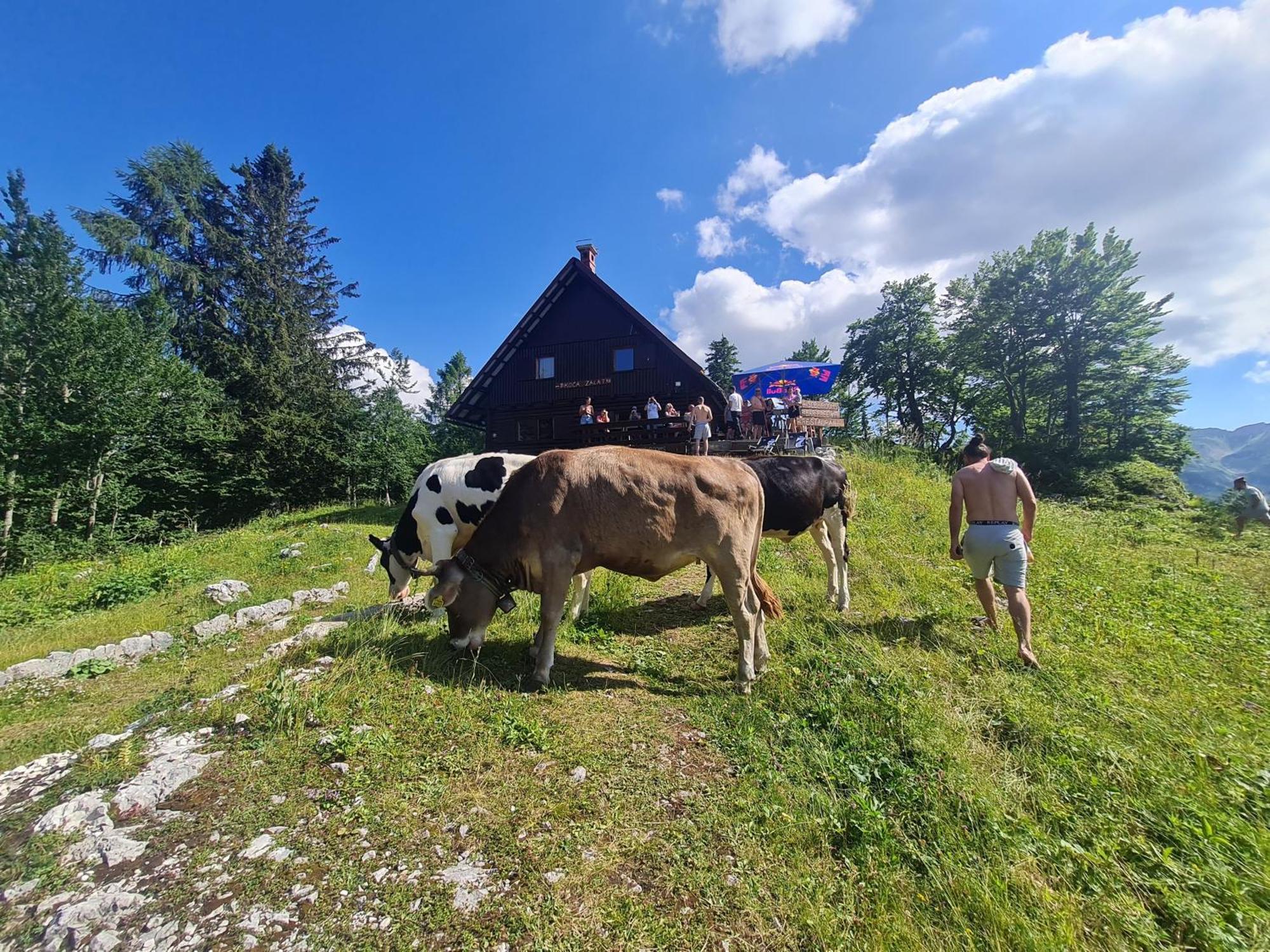 בוהין Chalet Burja At Vogel Mountain - Cable Car Access Or Hiking - Not Reachable With Car מראה חיצוני תמונה